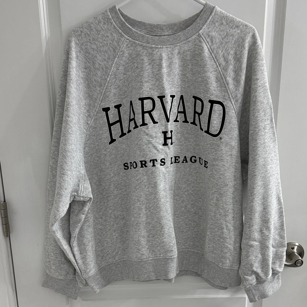 H&M Gray Crew Neck Sweater - Picture 1 of 1